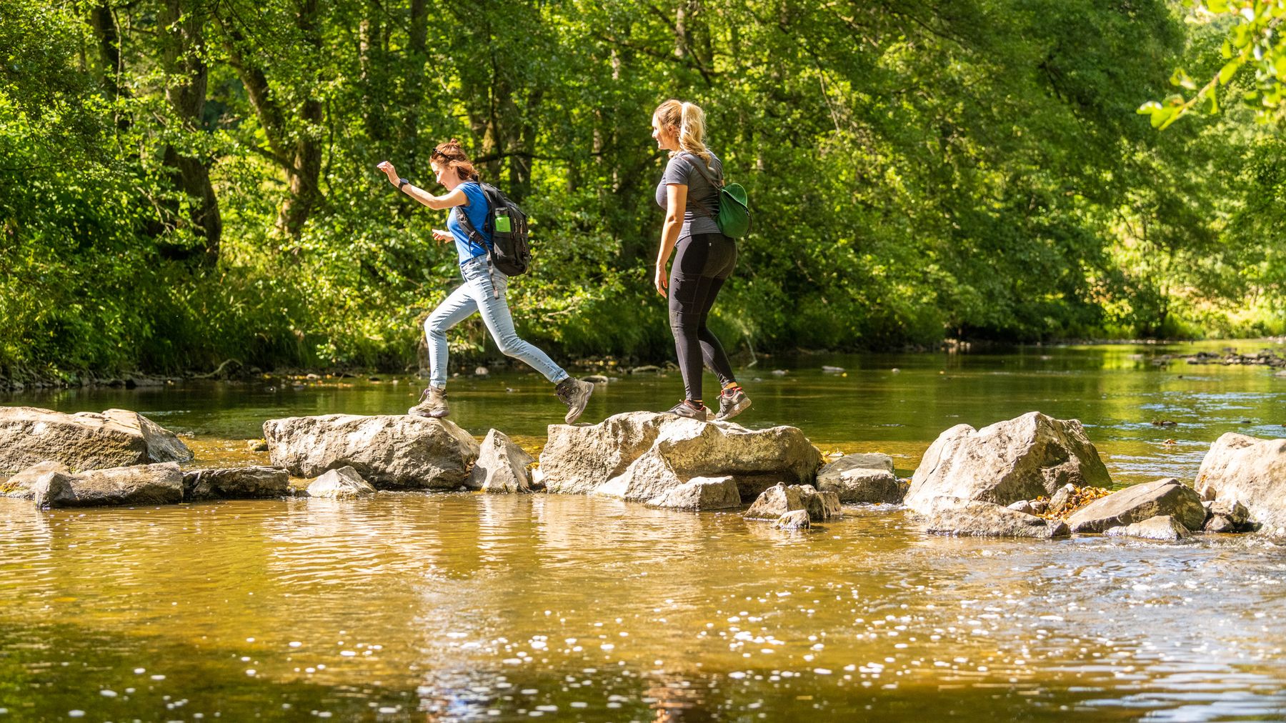 Zwei Personen mit Rucksäcken überqueren einen seichten Fluss, indem sie auf Felsen treten, umgeben von üppig grünen Bäumen und dem Sonnenlicht, das durch die Blätter fällt.